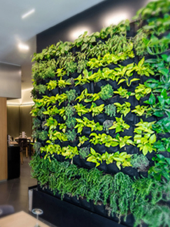 Office Green Wall